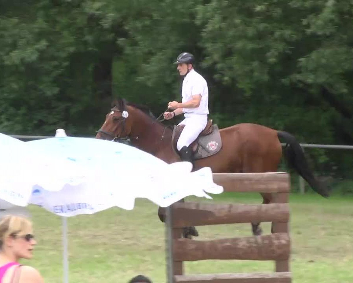 Springpferd Leroy 121 (Westfale, 2000, von Laomedon)