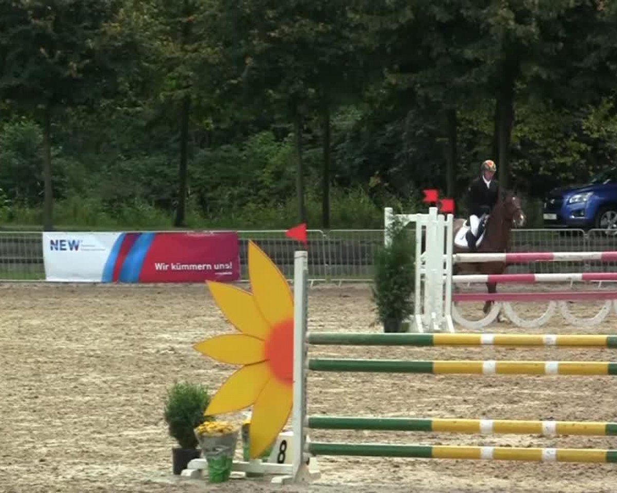 jumper Caytano 10 (Holsteiner, 2007, from Carentan)