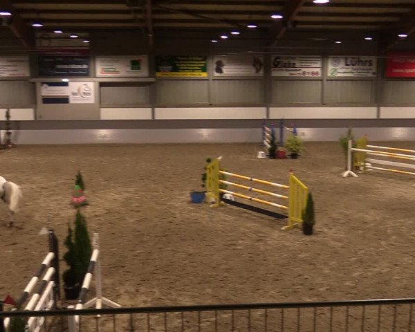 Reitturnier Luhmühlen 2020