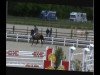 jumper Gin Gini de Haquet (Belgian Warmblood, 2006, from Darco)