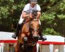 jumper Botoks (Oldenburg show jumper, 2006, from Balou du Rouet)