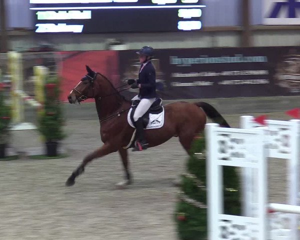 Reitturnier Negernbötel 2020, 5. Nordic Jumping event 2020/2021