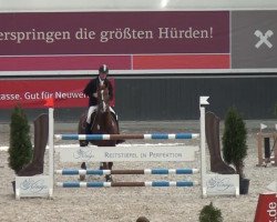 horse Eros van het Gestel (Belgian Warmblood, 2004, from Nonstop)