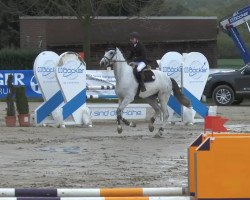 jumper Captain Buddy AB (Westphalian, 2008, from Champion du Lys)