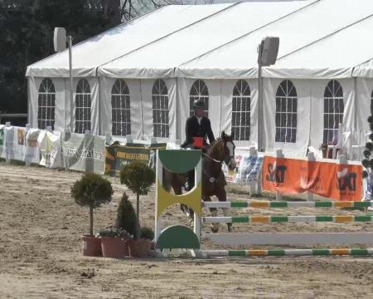jumper For You 48 (Westphalian, 2007)