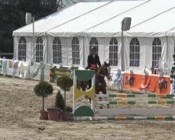 jumper For You 48 (Westphalian, 2007)