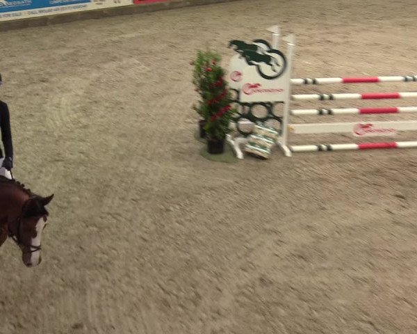 Reitturnier Negernbötel 2020, 5. Nordic Jumping event 2020/2021