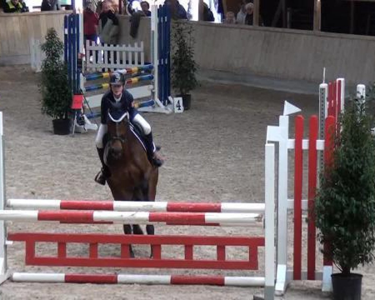 Springpferd Luciana 110 (Württemberger, 2006, von Lordanos)