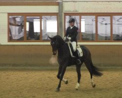 dressage horse Forever You (Hanoverian, 2009, from Fürst Nymphenburg)