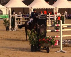 jumper Andolux Verte (KWPN (Royal Dutch Sporthorse), 2005, from Ticalluc Verte)