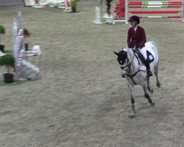 Reitturnier Negernbötel 2020, 5. Nordic Jumping event 2020/2021