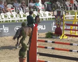 jumper Lenamore Gideon (Irish Sport Horse, 2006)