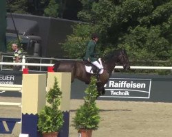 jumper Orbiting (Irish Sport Horse, 2004)