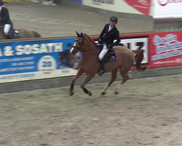 Reitturnier Negernbötel 2020, 5. Nordic Jumping event 2020/2021