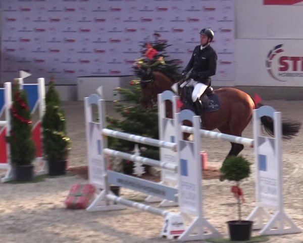 Reitturnier Negernbötel 2020, 5. Nordic Jumping event 2020/2021