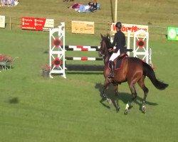 jumper Castella 67 (Oldenburg, 2007, from Canturo)