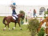 jumper Cocky little champion (Hanoverian, 2008, from Calido I)