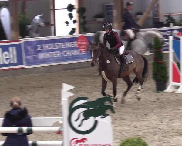 Reitturnier Negernbötel 2020, 5. Nordic Jumping event 2020/2021