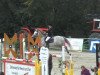 jumper Batello 4 (KWPN (Royal Dutch Sporthorse), 2006, from Sydney)