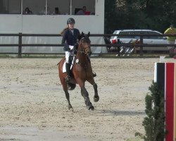 dressage horse Flovina (Westphalian, 2006, from Flovino)