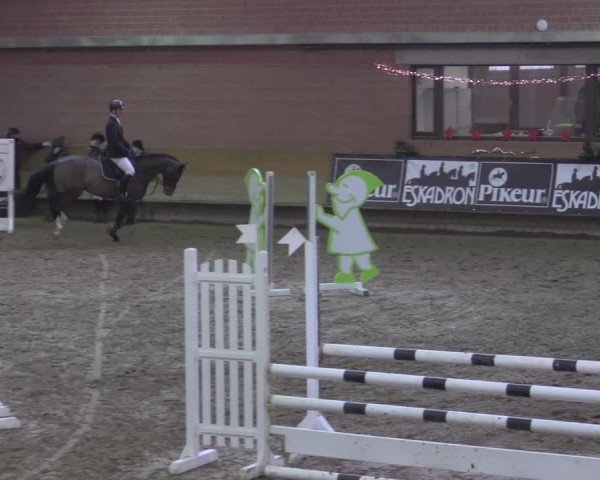 Reitturnier Paderborn 2020