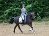 dressage horse Stanley Clivio (German Riding Pony, 1997, from Steven)