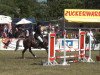 jumper Cyrano (German Riding Pony, 2000, from Cap Cennedy N)