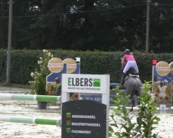 jumper Cordina H (German Riding Pony, 2008, from The Braes My Mobility)