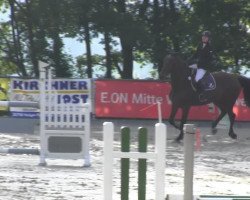 broodmare Talina E (Oldenburg show jumper, 2007, from Tjungske)