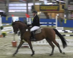 Springpferd Lescadeur B (Oldenburger, 2009, von Hh Linton)