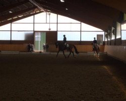 dressage horse Diamantentusch (Westphalian, 2008, from Diamond Hit)