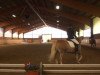 dressage horse Artig (Westphalian,  )