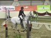 jumper Gorki F (Belgian Warmblood, 2006, from VDL Cardento 933)