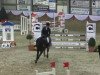 jumper Bravour 52 (KWPN (Royal Dutch Sporthorse), 2006, from Karandasj)