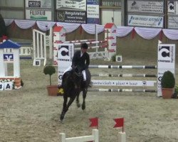 jumper Bravour 52 (KWPN (Royal Dutch Sporthorse), 2006, from Karandasj)