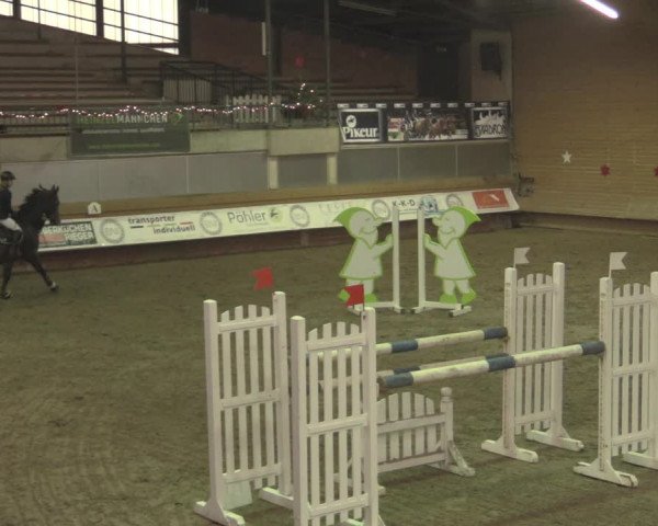 Reitturnier Paderborn 2020