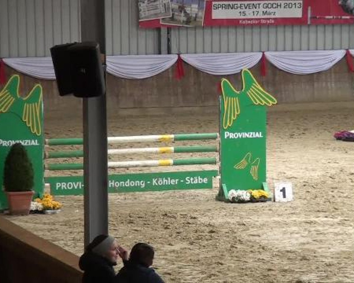 Springpferd Coulthard 13 (KWPN (Niederländisches Warmblut), 1993, von Pkz Contact van de Heffinck)