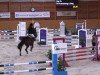 Springpferd Flip 70 (Belgisches Warmblut, 1995, von Flipper d'Elle)