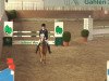 jumper Toptaila (German Riding Pony, 2009, from Top Zento)