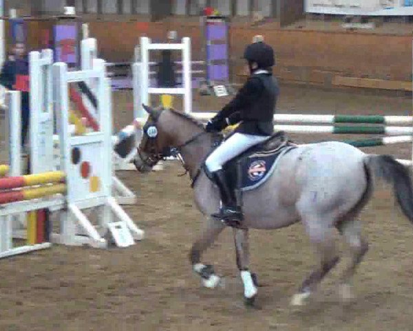 jumper Pretty Woman 75 (German Riding Pony, 1991, from Weston Regent)