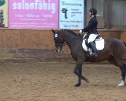 dressage horse Viola 285 (German Warmblood, 2007)