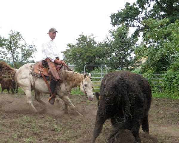 horse Annis Blue Boy (Quarter Horse,  , from Cause Of It All)