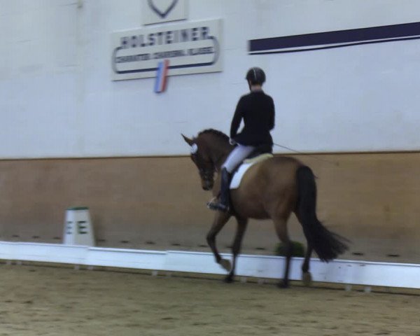 Reitturnier Elmshorn 2020