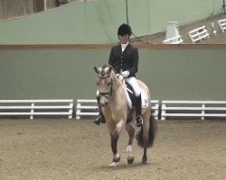 dressage horse Carlson Vom Dach 4 (German Riding Pony, 2008, from FS Champion de Luxe)