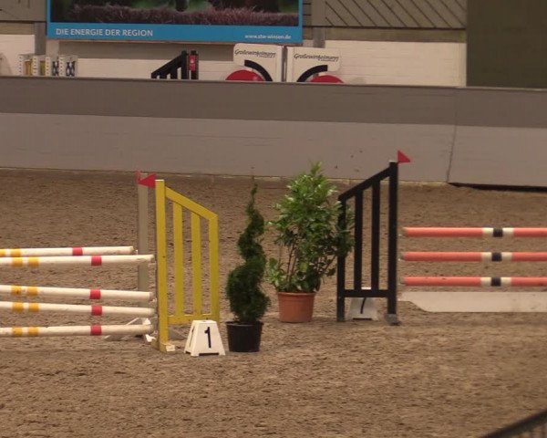 Reitturnier Luhmühlen 2020