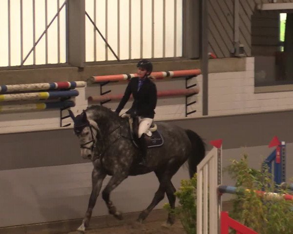 Reitturnier Luhmühlen 2020