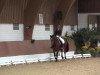 dressage horse Lavita D (Rhinelander, 2009, from Lord Loxley I)