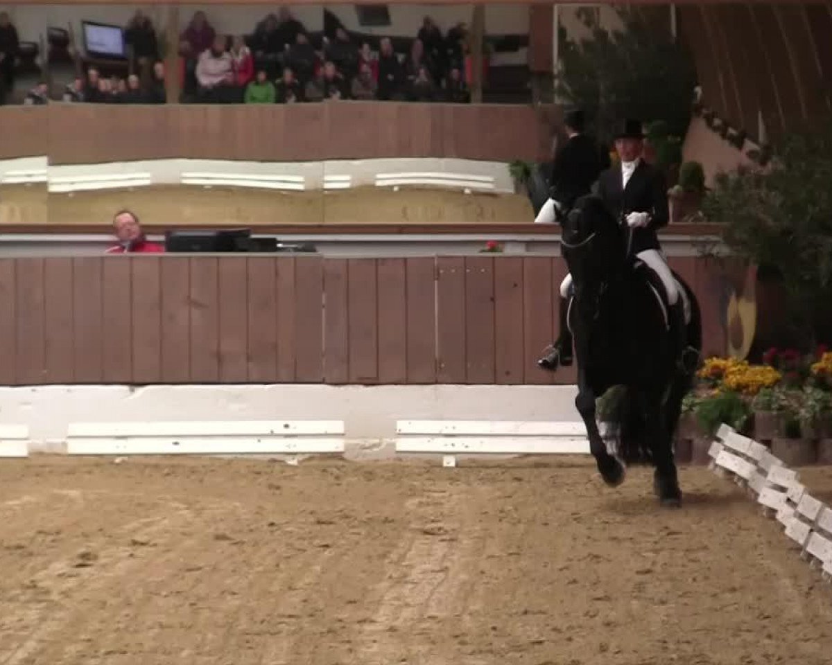 dressage horse Ytsen fan Galinga State (Friese, 2007, from Tsjabring 429)