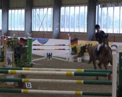 broodmare Elli Epsom (Oldenburg show jumper, 2008, from Epsom Gesmeray)