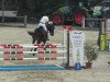 jumper Conveni's Such Is Life (Hanoverian, 2007, from Stolzenberg)